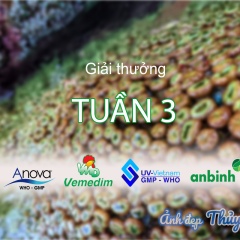 Ảnh Đẹp Thủy Sản: Quà tặng tuần 3